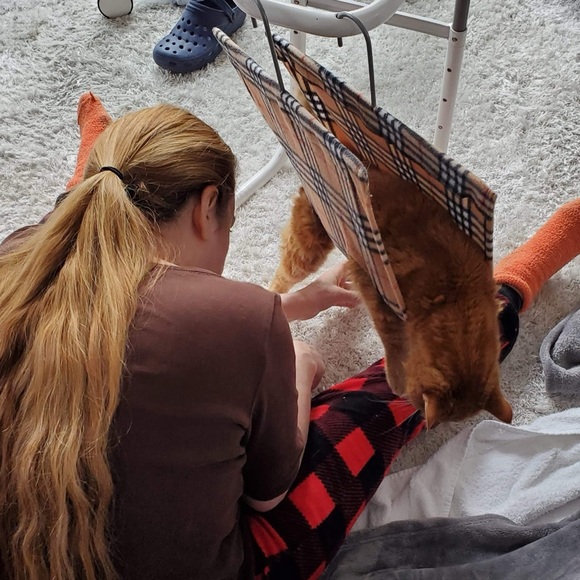 Hands free grooming stand ! Www.pethold.com - Picture 4 of 7